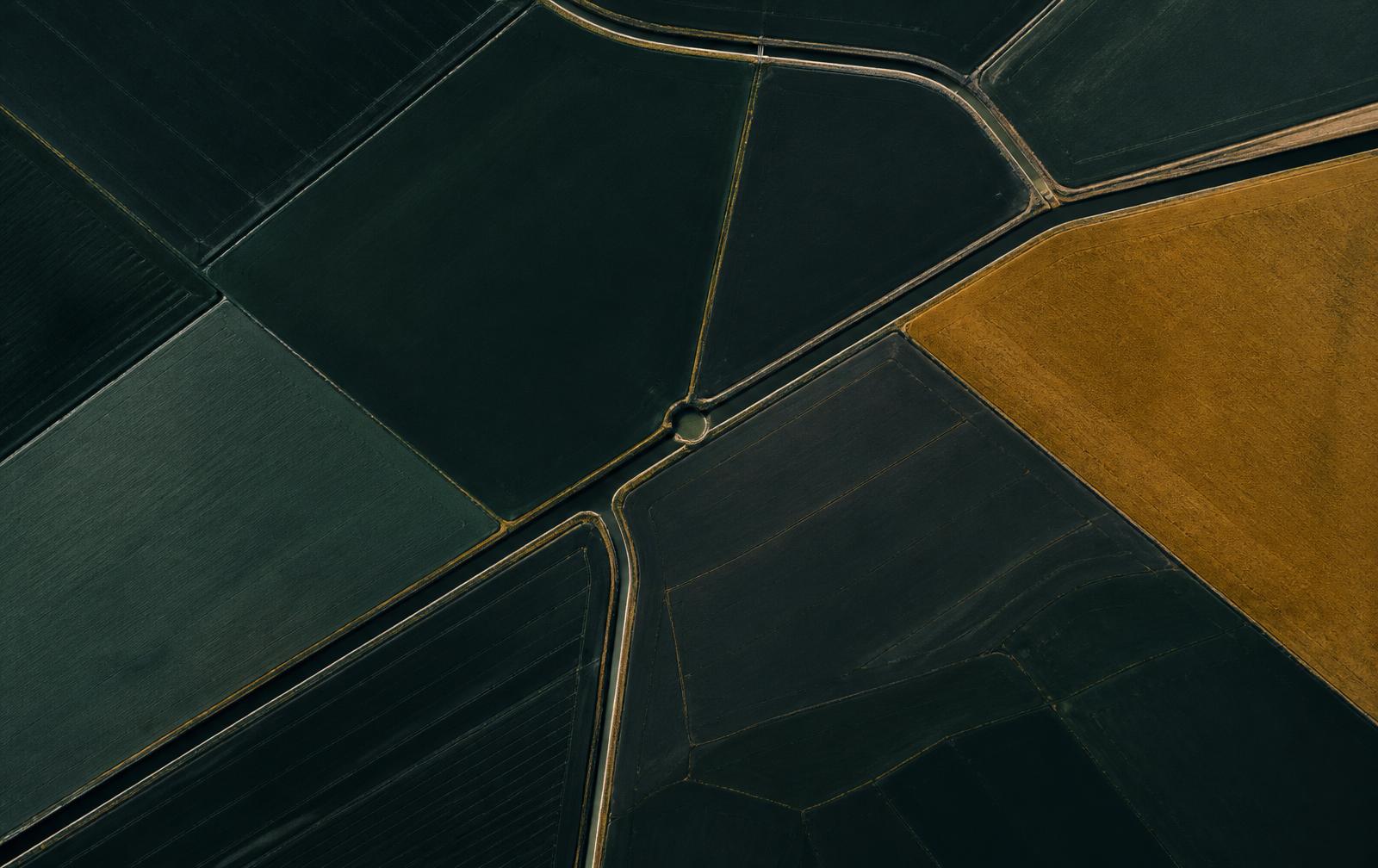 Vista aérea abstrata de território rural contemporâneo, com divisas geométricas de talhões